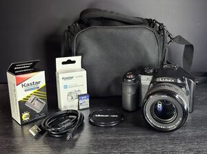 Panasonic LUMIX DMC-FZ50 10.1MP Digital Camera 32GB Bundle - Refurbished EX